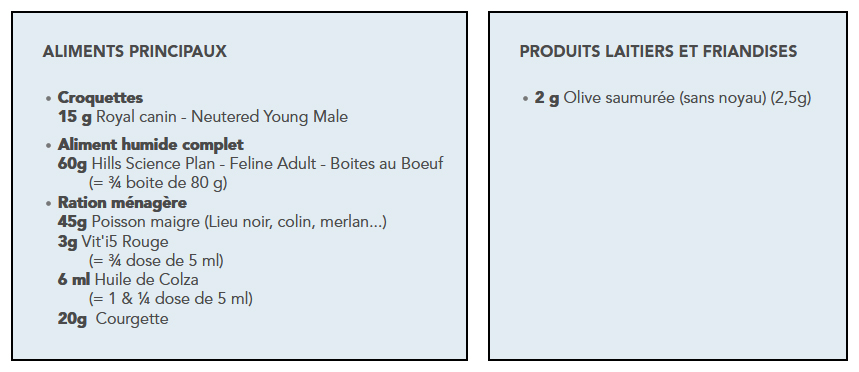 ingredients d'une ration mixte pour un chat